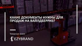 Что делать, если на Wildberries статус заказа «Выдано, не оплачено»? в Fissman