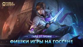 Что такое савага в мобайл в Fissman