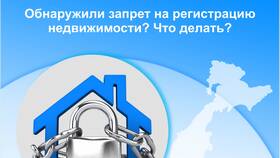 Что такое запрет на имущество в Fissman