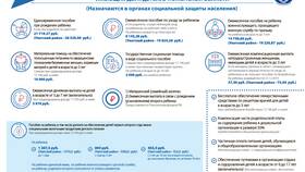 Что значит социальная поддержка в Fissman