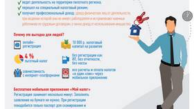 Как ИП работать на НПД в Fissman