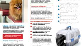 Как оформить билет с животными в РЖД в Fissman
