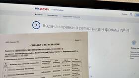 Как оформить справку через Госуслуги в Fissman