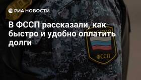 Как оплатить задолженность через ФССП в Fissman