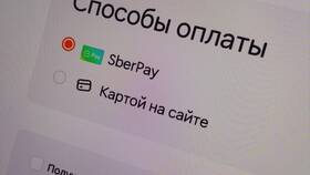 Как платят в Додо Пицца в Fissman