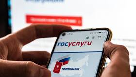 Как подать заявку на голосование через Госуслуги в Fissman