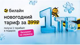Как подключить тарифы и услуги Билайн в Fissman