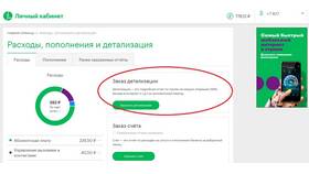 Как получить распечатку звонков Мегафон в Fissman