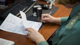 Как получить таможенную декларацию в Fissman