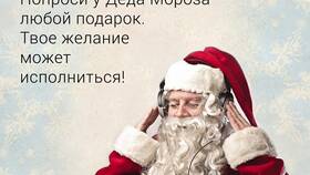Как позвонить Деду Морозу в Fissman