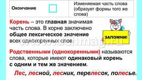 Как приставка образует новые слова (3 класс) в Fissman