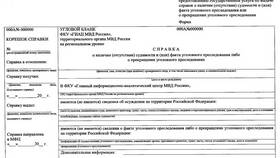 Как распечатать справку о несудимости с Госуслуг в Fissman