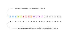 Количество цифр в лицевом счете Сбербанка в Fissman