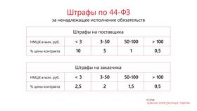 Нестоимостной штраф по 44-ФЗ: что это такое в Fissman