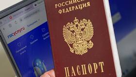 Почему может быть закрыт доступ к порталу Госуслуг в Fissman