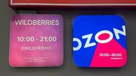 Почему не обновляются справочные данные на Ozon в Fissman