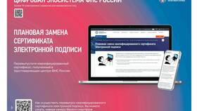 Сервер ФНС не отвечает на Госуслугах: что делать в Fissman