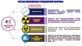 Справка 7б: что это в Fissman