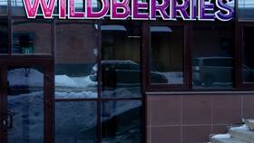 Сроки возврата денег на кошелек Wildberries в Fissman